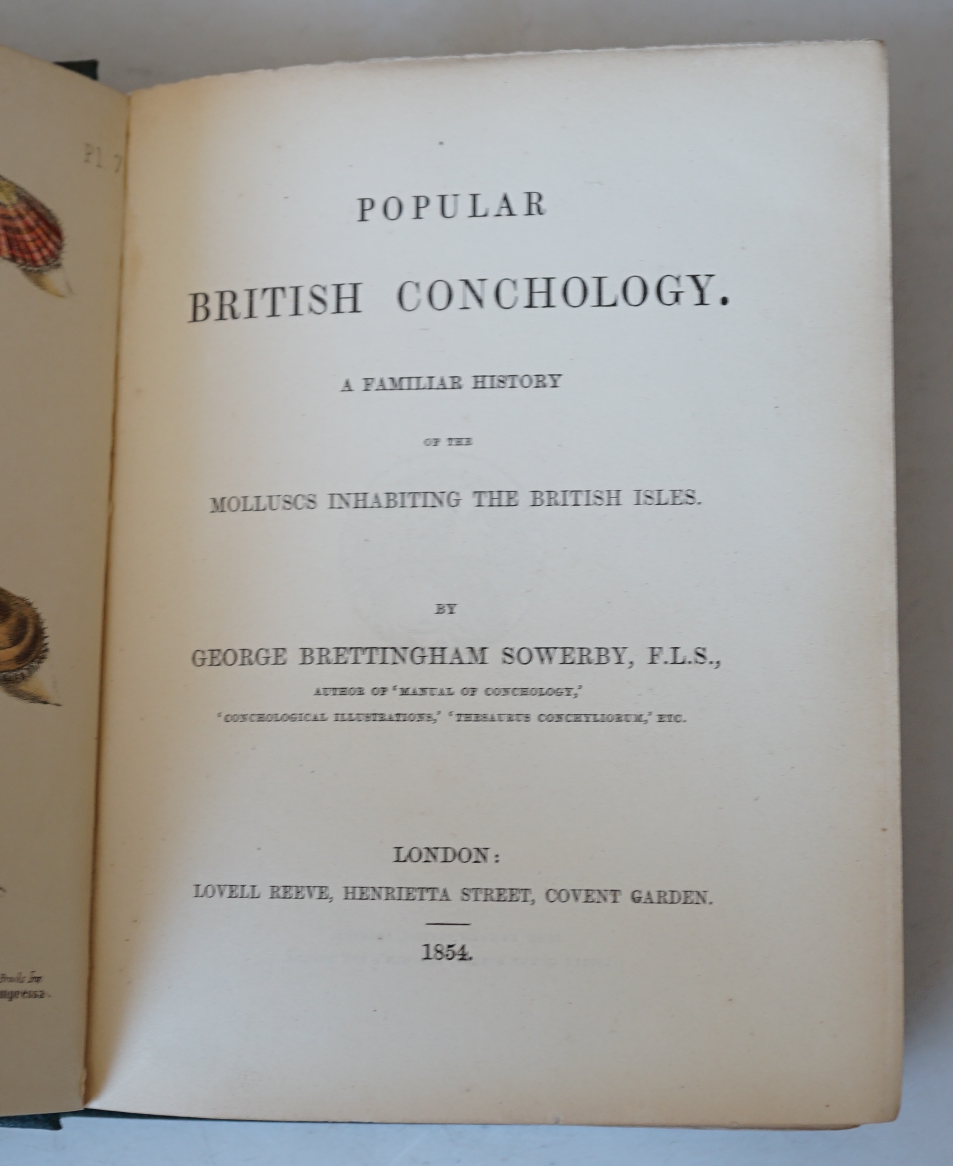 Sowerby, George Brettingham - Popular British Conchology. A familiar history of the molluscs inhabiting the Brisish Isles. 20 hand coloured lithographed plates; original gilt pictorial and blind decorated cloth (by Westl